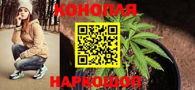 молекула духа Ярцево