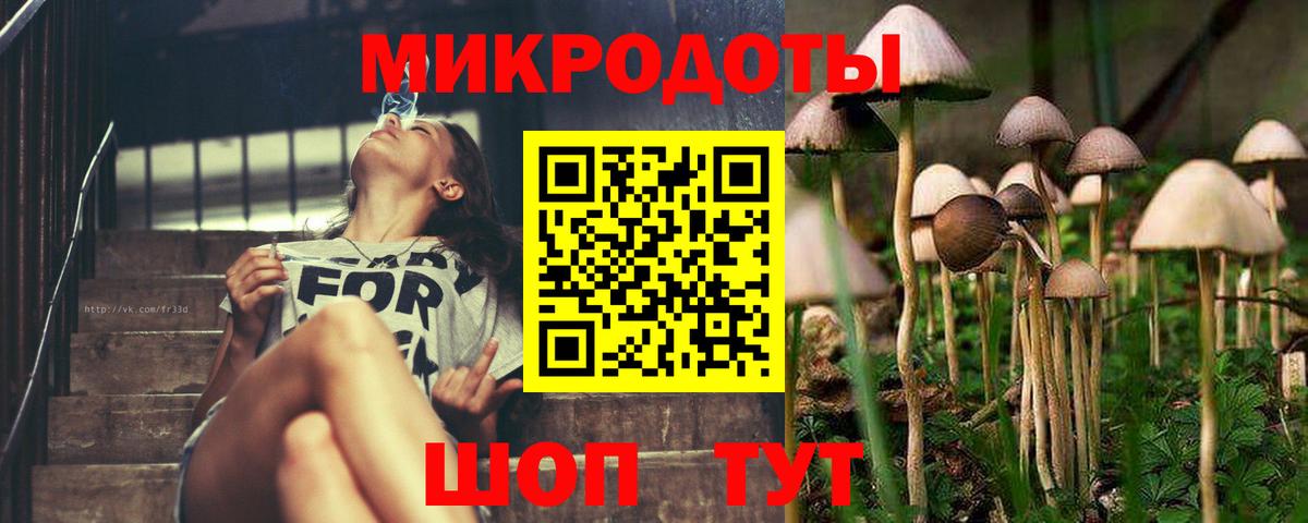 Псилоцибиновые грибы MAGIC MUSHROOMS  Вход с VPN  Можайск 