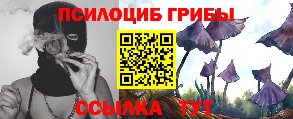 Псилоцибиновые грибы мухоморы Можайск